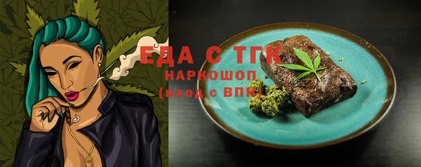хмурый Алексин
