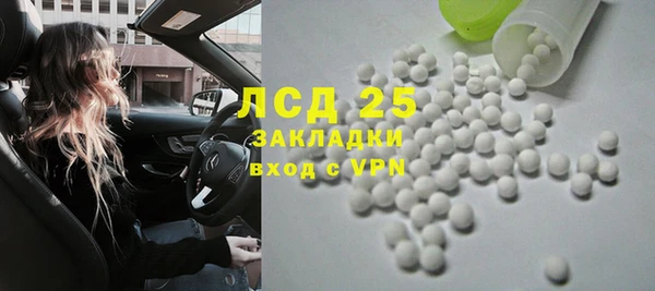 хмурый Алексин