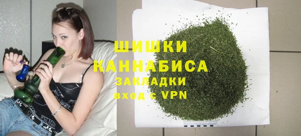 хмурый Алексин