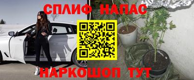 сатива Бузулук