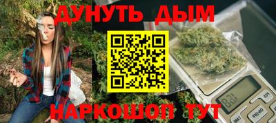 сатива Бузулук