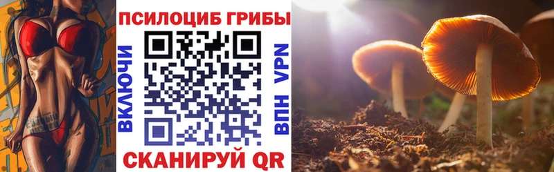 мега как войти  Дмитров  Галлюциногенные грибы GOLDEN TEACHER 