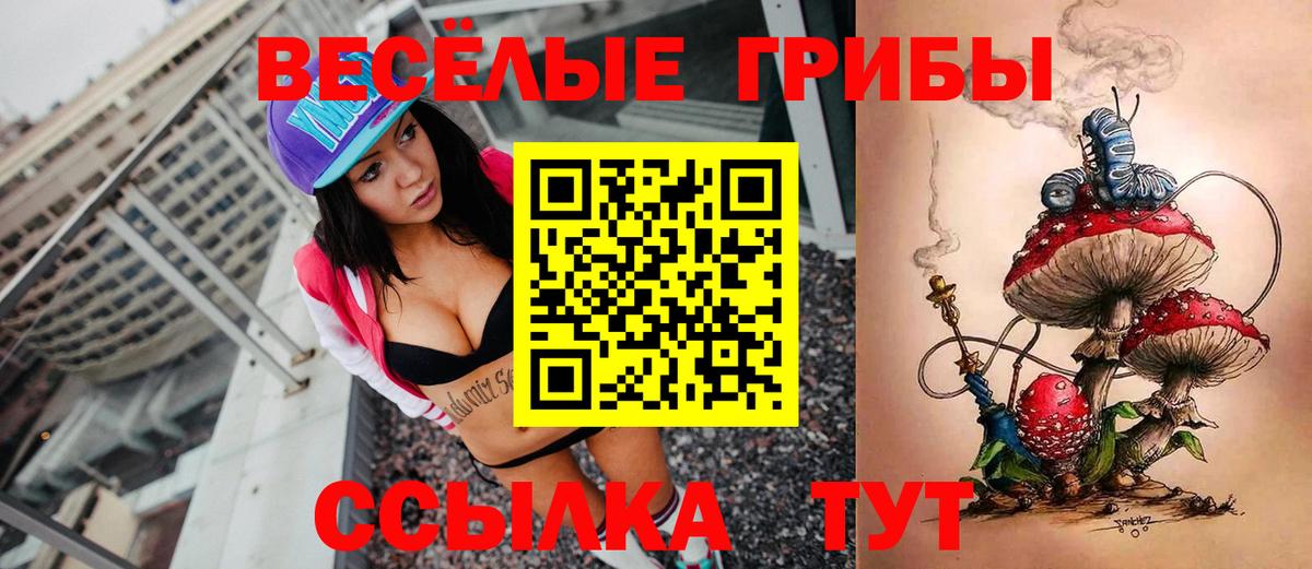 Псилоцибиновые грибы Magic Shrooms Дмитров