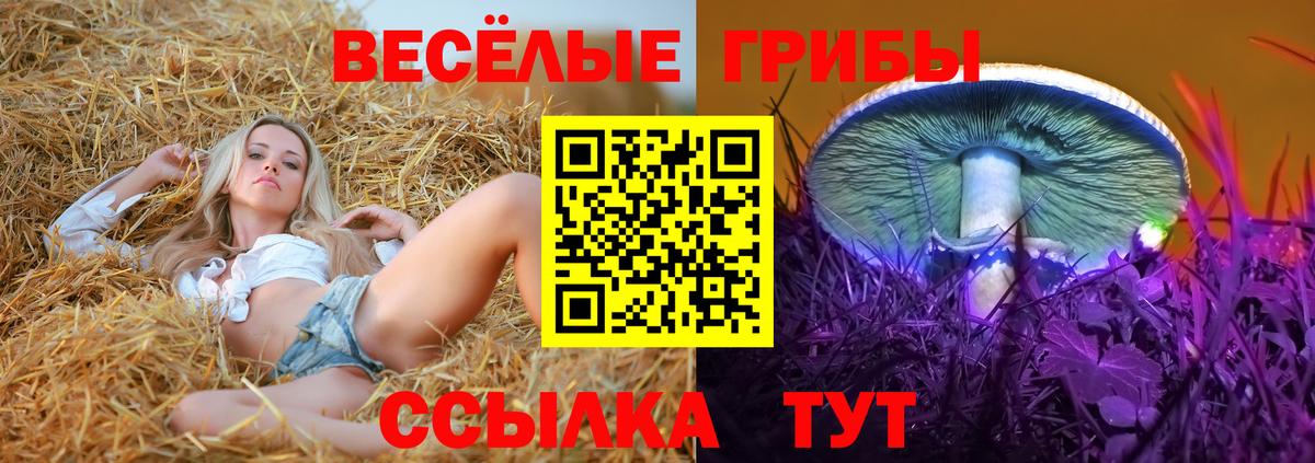Дмитров  Галлюциногенные грибы ЛСД  Вход с VPN 